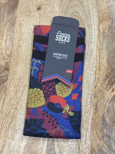 American SOCKS Macaw